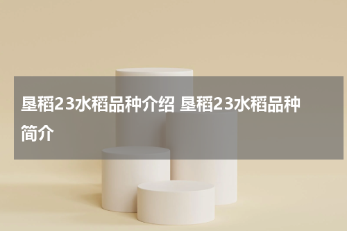 垦稻23水稻品种介绍 垦稻23水稻品种简介