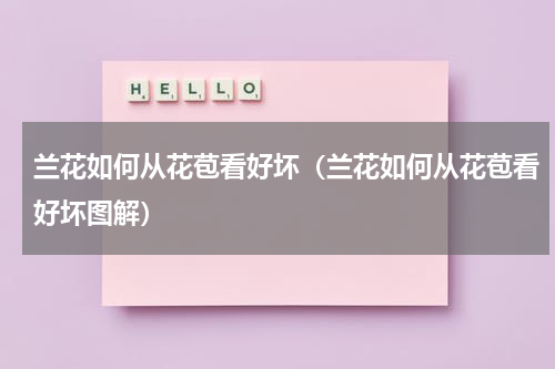 兰花如何从花苞看好坏（兰花如何从花苞看好坏图解）