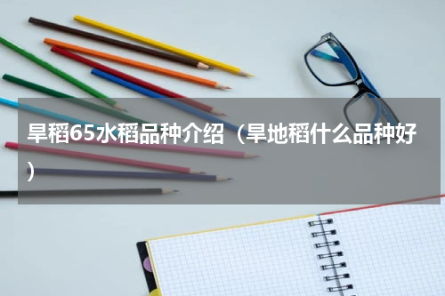 旱稻65水稻品种介绍（旱地稻什么品种好）