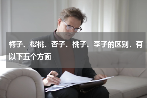 梅子、樱桃、杏子、桃子、李子的区别，有以下五个方面