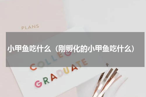 小甲鱼吃什么（刚孵化的小甲鱼吃什么）
