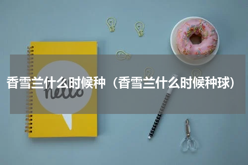 香雪兰什么时候种（香雪兰什么时候种球）