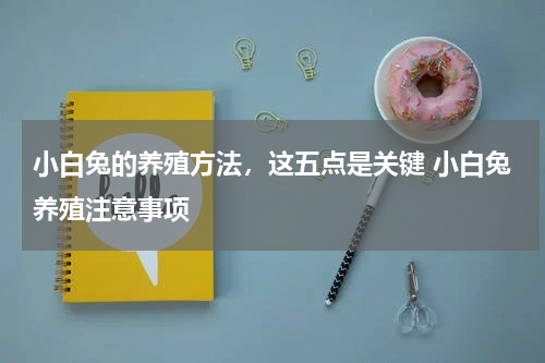 小白兔的养殖方法，这五点是关键 小白兔养殖注意事项