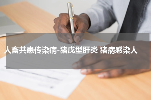 人畜共患传染病-猪戊型肝炎 猪病感染人