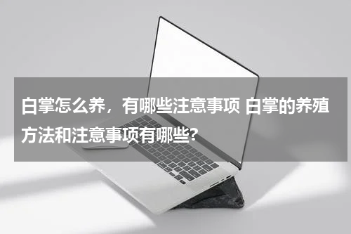 白掌怎么养，有哪些注意事项 白掌的养殖方法和注意事项有哪些?
