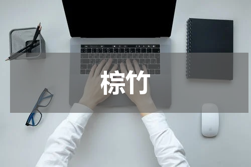 棕竹
