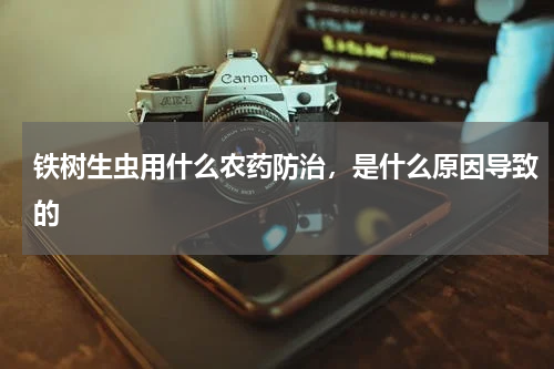 铁树生虫用什么农药防治，是什么原因导致的
