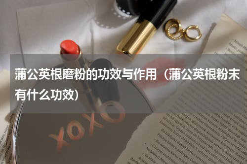 蒲公英根磨粉的功效与作用（蒲公英根粉末有什么功效）
