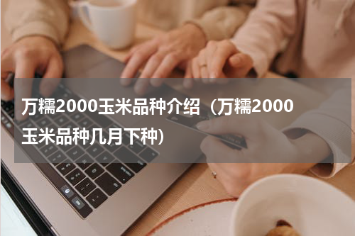 万糯2000玉米品种介绍（万糯2000玉米品种几月下种）