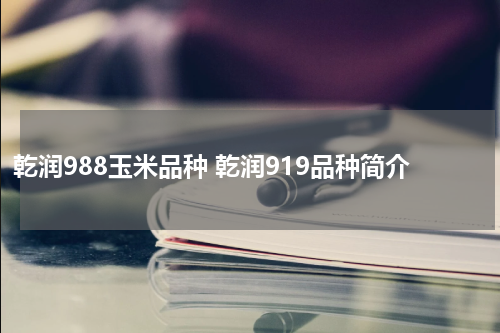 乾润988玉米品种 乾润919品种简介