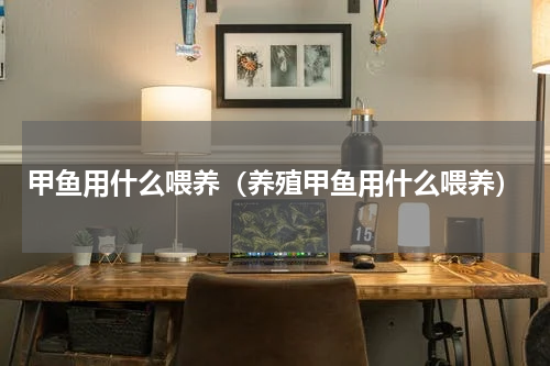 甲鱼用什么喂养（养殖甲鱼用什么喂养）