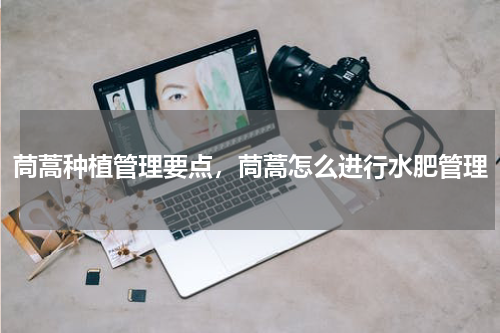 茼蒿种植管理要点，茼蒿怎么进行水肥管理