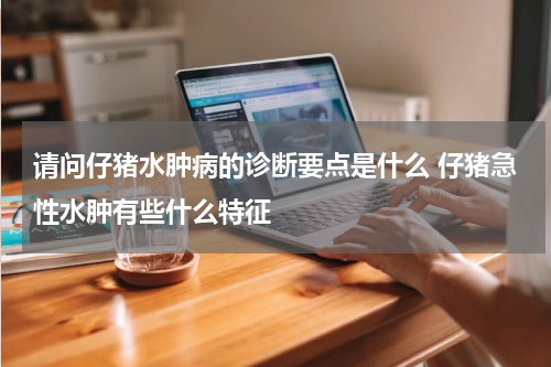 请问仔猪水肿病的诊断要点是什么 仔猪急性水肿有些什么特征