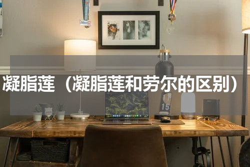 凝脂莲（凝脂莲和劳尔的区别）