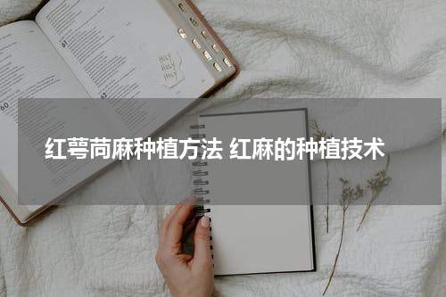 红萼苘麻种植方法 红麻的种植技术