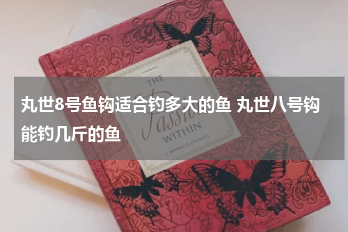 丸世8号鱼钩适合钓多大的鱼 丸世八号钩能钓几斤的鱼