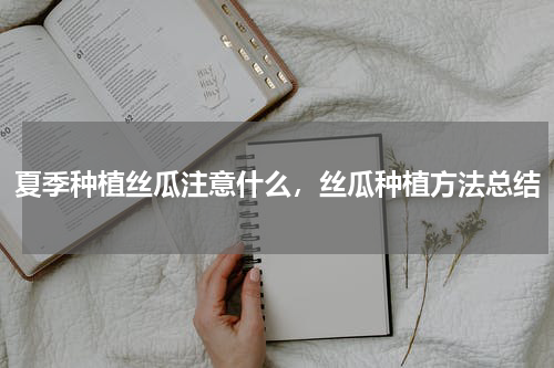 夏季种植丝瓜注意什么，丝瓜种植方法总结