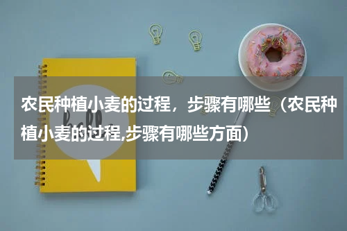 农民种植小麦的过程，步骤有哪些（农民种植小麦的过程,步骤有哪些方面）