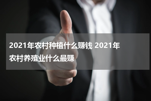 2021年农村种植什么赚钱 2021年农村养殖业什么最赚