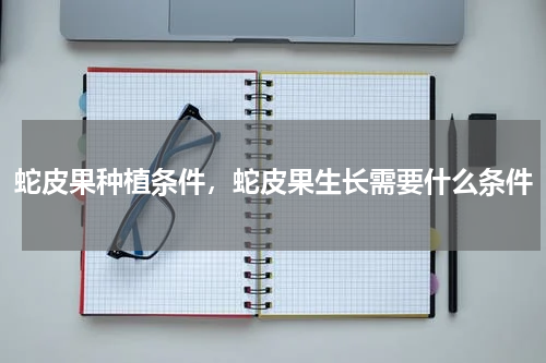 蛇皮果种植条件，蛇皮果生长需要什么条件