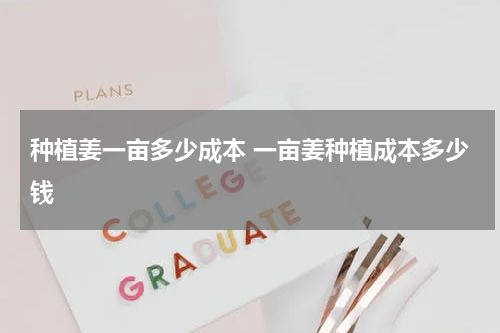 种植姜一亩多少成本 一亩姜种植成本多少钱