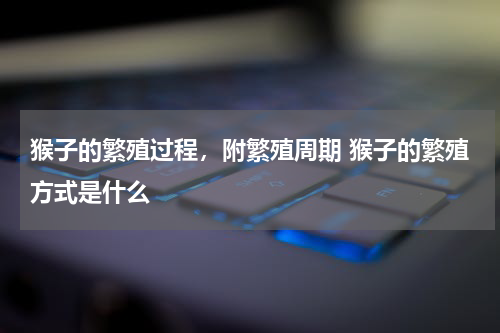 猴子的繁殖过程，附繁殖周期 猴子的繁殖方式是什么