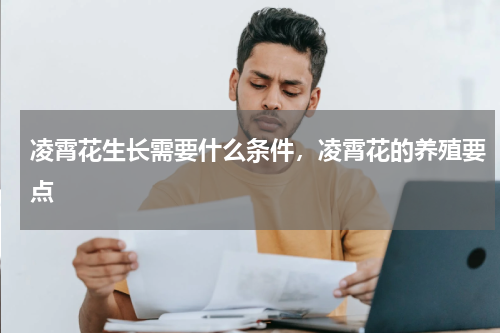 凌霄花生长需要什么条件，凌霄花的养殖要点