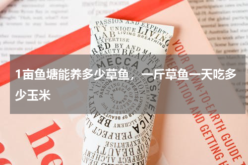 1亩鱼塘能养多少草鱼，一斤草鱼一天吃多少玉米