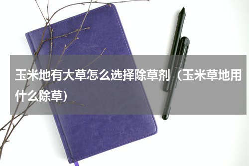 玉米地有大草怎么选择除草剂（玉米草地用什么除草）
