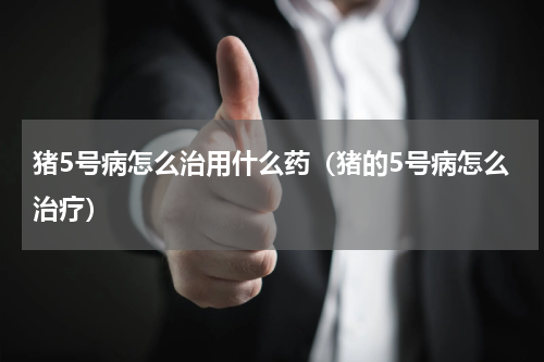 猪5号病怎么治用什么药（猪的5号病怎么治疗）