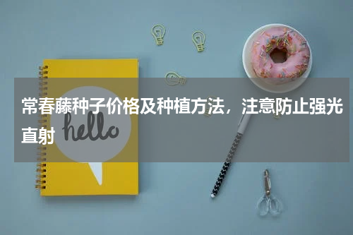 常春藤种子价格及种植方法，注意防止强光直射