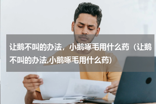 让鹅不叫的办法，小鹅啄毛用什么药（让鹅不叫的办法,小鹅啄毛用什么药）