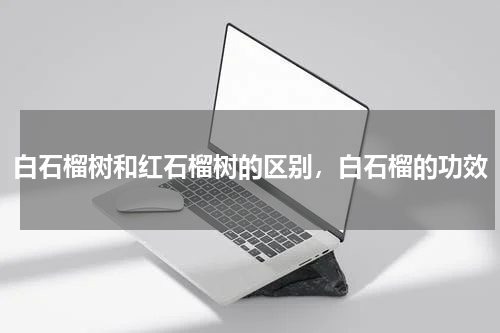 白石榴树和红石榴树的区别，白石榴的功效
