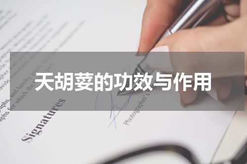 天胡荽的功效与作用