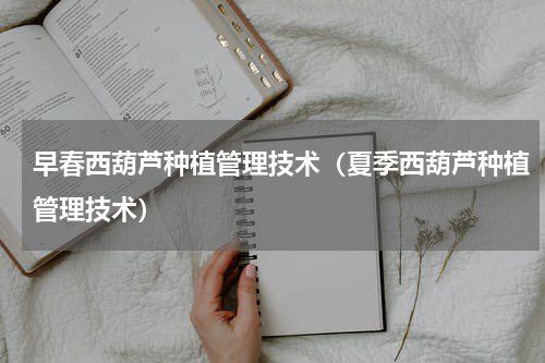 早春西葫芦种植管理技术（夏季西葫芦种植管理技术）