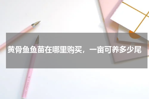 黄骨鱼鱼苗在哪里购买，一亩可养多少尾
