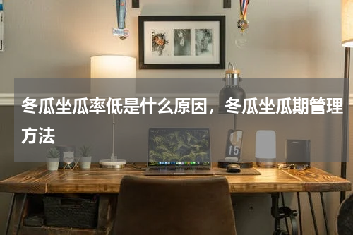 冬瓜坐瓜率低是什么原因，冬瓜坐瓜期管理方法