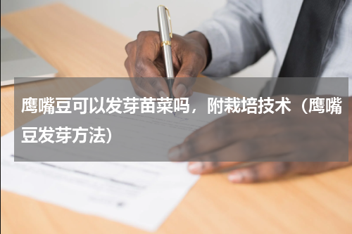 鹰嘴豆可以发芽苗菜吗，附栽培技术（鹰嘴豆发芽方法）