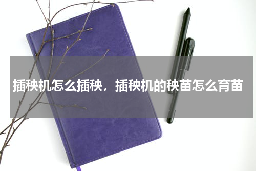 插秧机怎么插秧，插秧机的秧苗怎么育苗