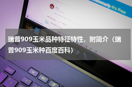 瑞普909玉米品种特征特性，附简介（瑞普909玉米种百度百科）