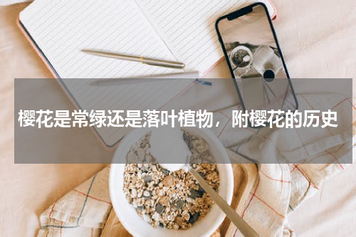 樱花是常绿还是落叶植物，附樱花的历史