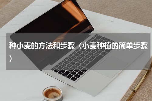 种小麦的方法和步骤（小麦种植的简单步骤）