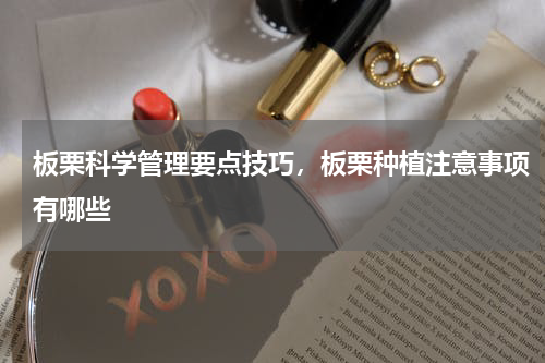 板栗科学管理要点技巧，板栗种植注意事项有哪些