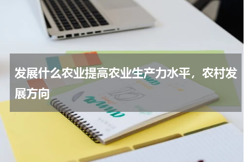 发展什么农业提高农业生产力水平，农村发展方向