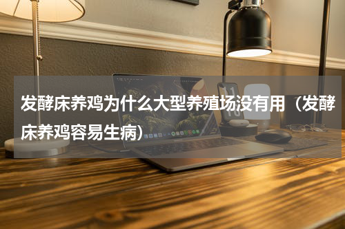 发酵床养鸡为什么大型养殖场没有用（发酵床养鸡容易生病）