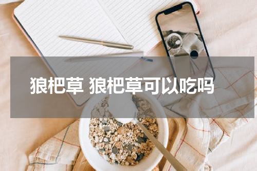 狼杷草 狼杷草可以吃吗