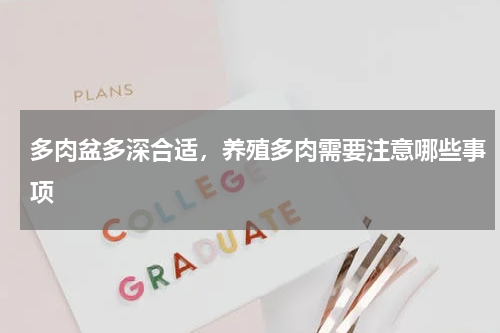 多肉盆多深合适，养殖多肉需要注意哪些事项