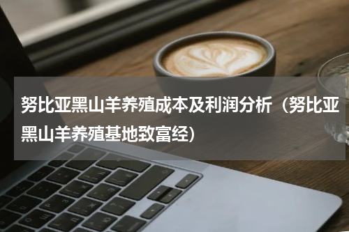 努比亚黑山羊养殖成本及利润分析（努比亚黑山羊养殖基地致富经）