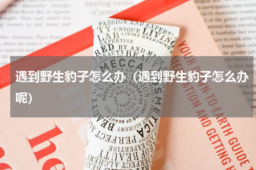 遇到野生豹子怎么办（遇到野生豹子怎么办呢）