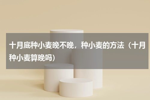 十月底种小麦晚不晚，种小麦的方法（十月种小麦算晚吗）